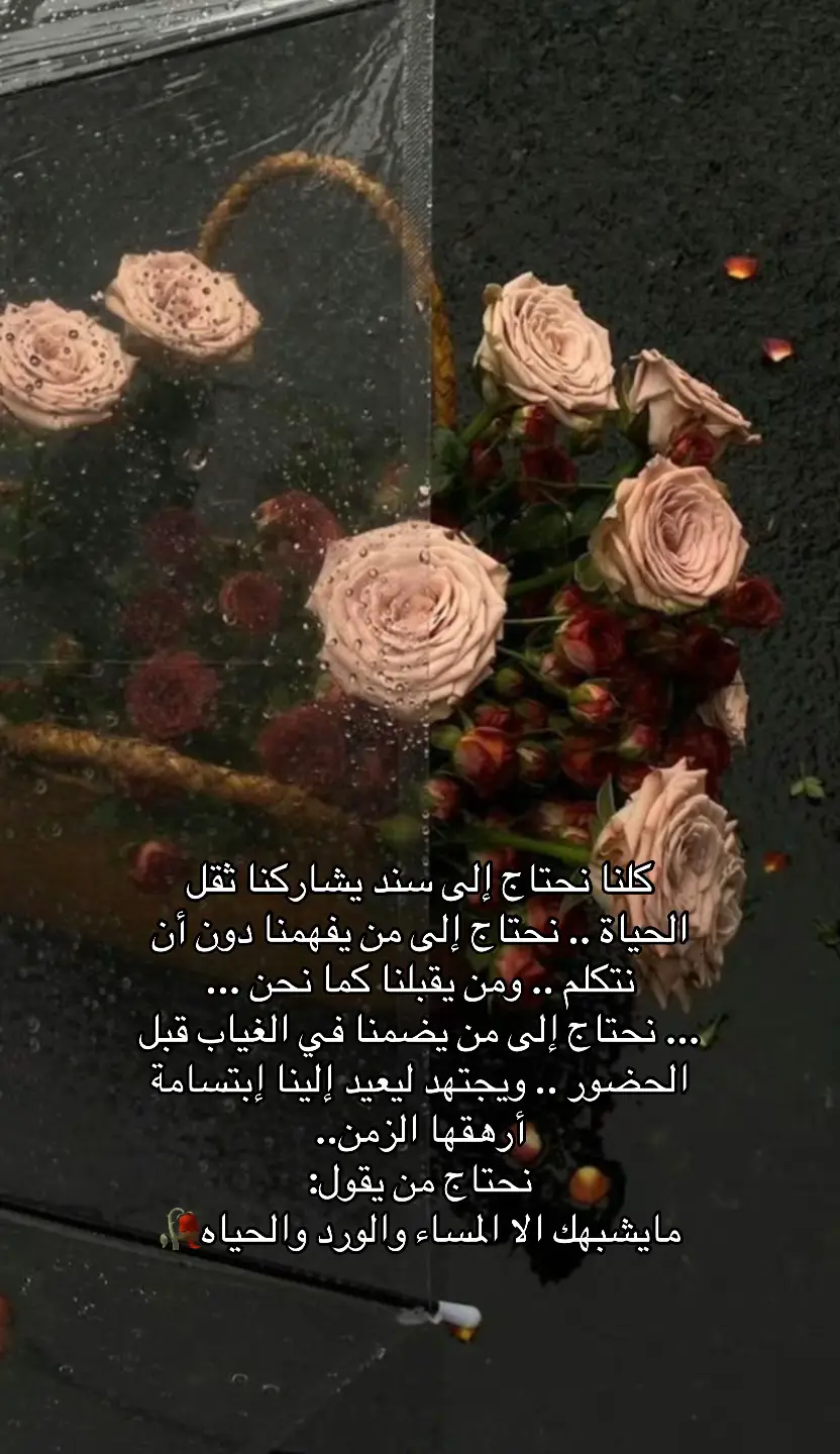 #الشعب_الصيني_ماله_حل😂😂 #حقيقه #ابو_نوره_محمد_عبده 