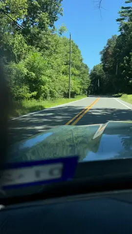 Zoom zoom!!!