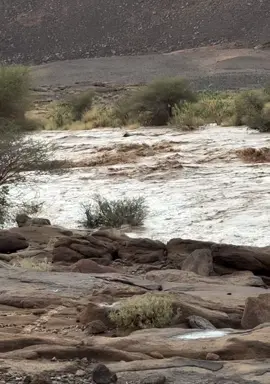 ‏الأكثر أمانًا في هذا العالم ، أن تتوقف عن الشعور ، ألا تدع أحد يلمس أعماقك .☔️🌧️#CapCut #fyp #تمنراست #2025 #foryou #🇩🇿 #🇩🇿 #tiktok #fybシ 
