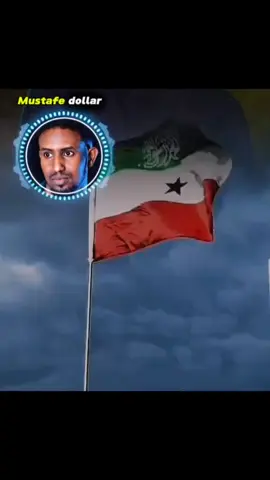 100sano haday qaadaynayso waanu raadsanaynaa citiraafka❤️🥰#Somaliland #somalilandtiktok💚🤍❤ @A A R K A B U R C O 🦁 @Abdisalam Brown1 qadaadweynta bal ufasira heestan🤣💔