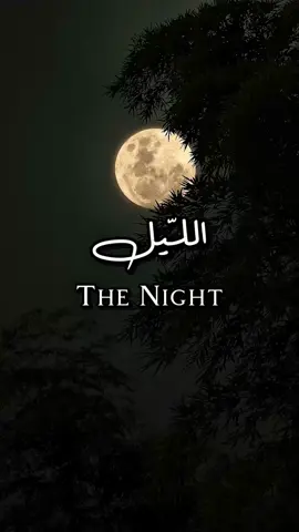 🌗🌓 🎙️&🖋️: @Wissam | وسام  #wizo #im_a_human #انا_انسان #شعر #خواطر 