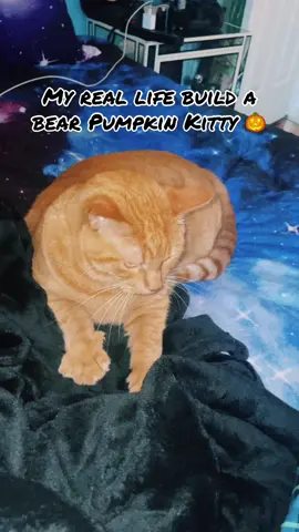 #buildabear #pumpkin #halloween #fall #catsoftiktok 
