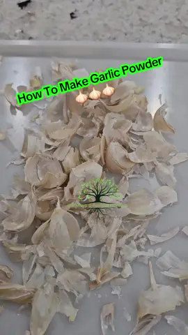Turn your garlic harvest into homemade garlic powder! 🌱🧄 Step-by-step guide to preserve that fresh garlic flavor. #GarlicGoals #HomemadeGarlicPowder #GarlicHarvest #DIYSpices #KitchenHacks 