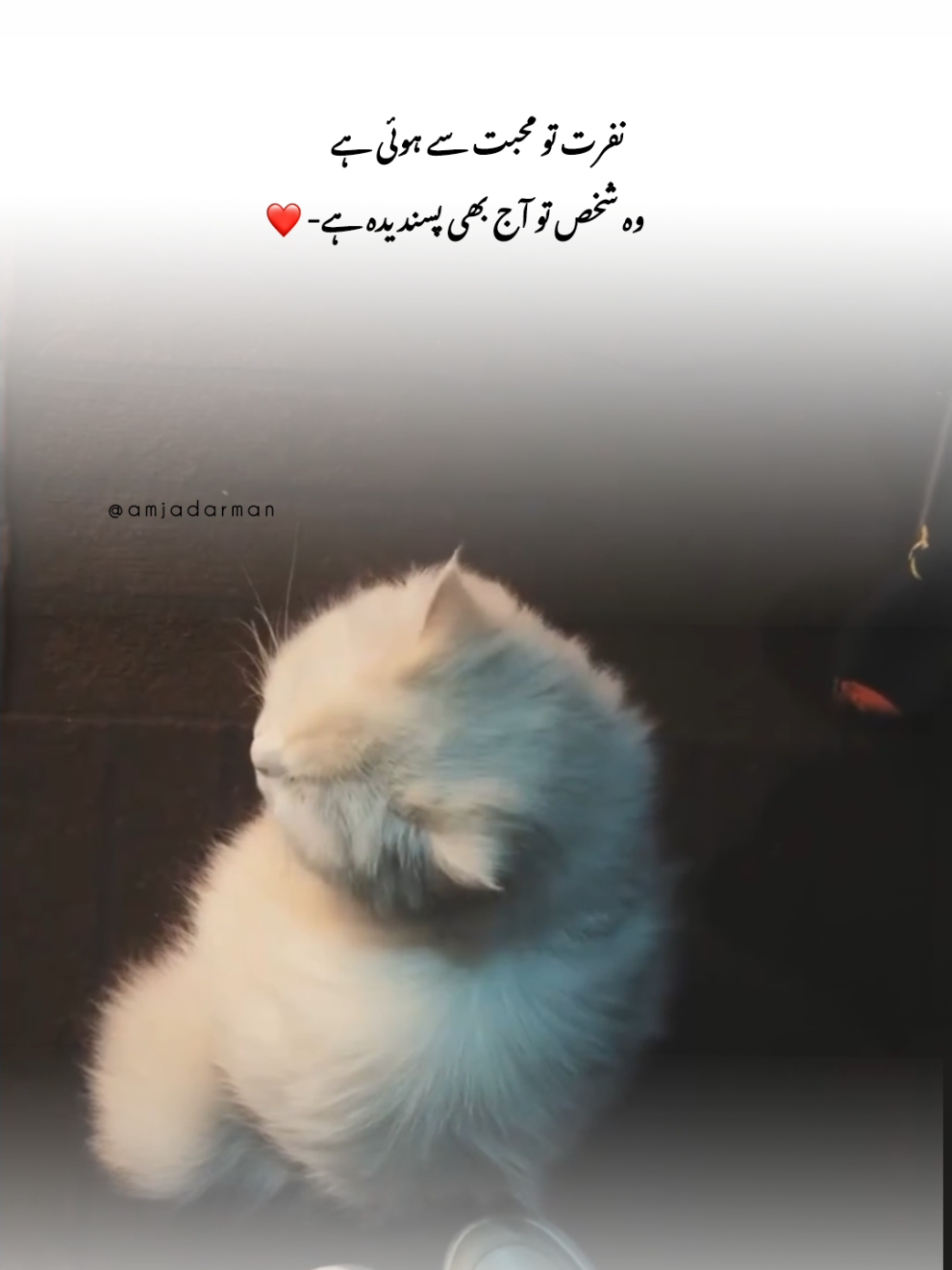 sad life#fyp #foryou #viral #1millionaudition #videoviral 