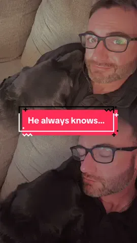 My best friend always knows when it’s been a long one and Daddy could use a lil cuddling… #foryou #doglove #dogdad #blacklab #servicedog 