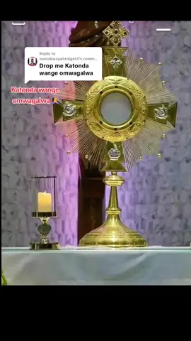 Replying to @namukwayabridget4 #fypシ゚ #catholicchurch #blessedsacrament #creatorsearchinsights 