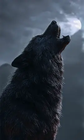 Wolf #wolfspirit #mysticforest #wolf #fenrir #lican 