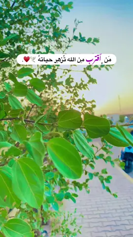 جزء 60 | ♥️ #قناتي_تليجرام_بالبايو💕🦋 #تصويري_احترافي_الاجواء👌🏻🕊😴 #تصويري📸اكسبلوور #عباراتكم_الفخمه📿📌 #اكسبلورexplore #تصوري📸 