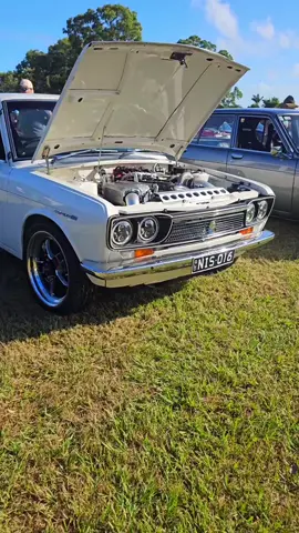 Un increíble datsun 510 #clasicos 