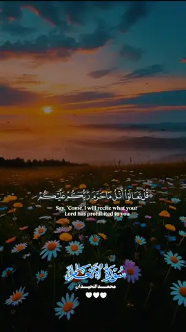 #اللهم_صلي_على_محمد_وأل_محمد❤❤❤❤ #لا_اله_الا_الله_محمد_رسول_الله_❤️ #استغفرالله_العظيم_واتوب_اليه #quran_alkarim❤️🕊️ #allah❤️ 