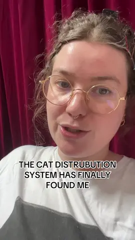 I didn’t get any footage yet but shout out to Andre. Mum is friendly, dad is shy. The babies are very good at hiding! Stay tuned I guess. #catdistributionsystem 