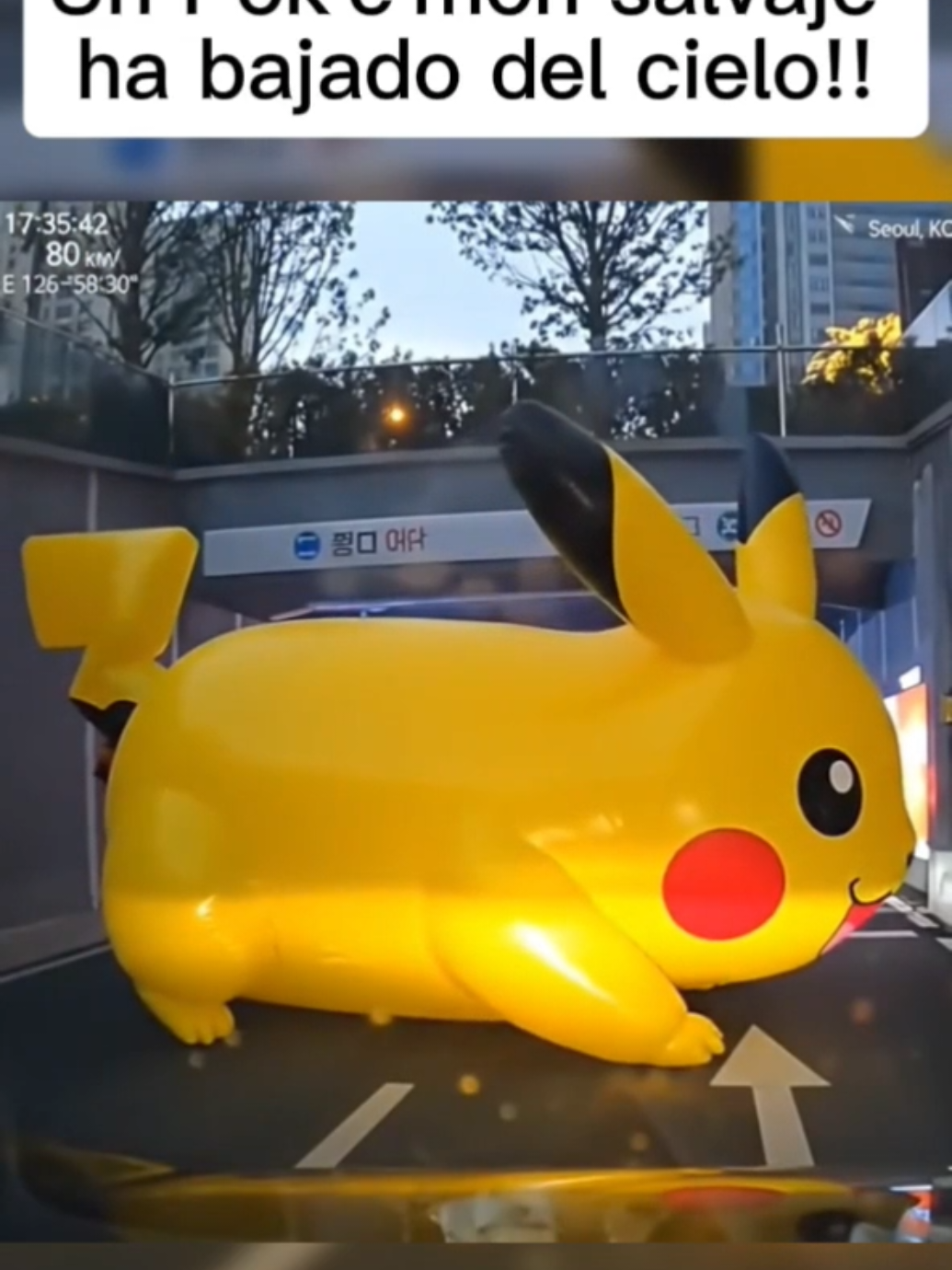 Un Pokémon salvaje ha aparecido #meme #memes #parati #foryou #foryoupage 