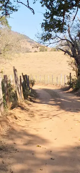 #boanoite #paisagem #vidasimples #viralvideotiktok #minasgerais 