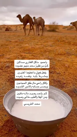 #شعراء_وذواقين_الشعر_الشعبي 