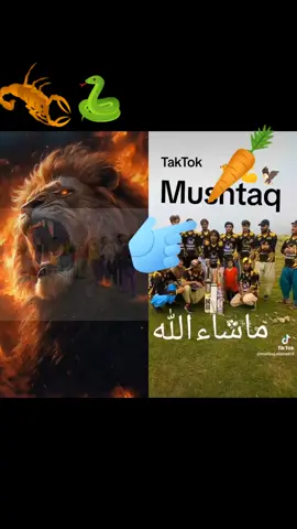 #duet with @marghan king @🇦🇫جانی😘 @nasirgul666 @irfan tanha @Abdul Samad 5353 @ɪɢɴᴏʀᴇ -- ʙᴏʏ 