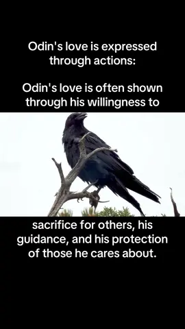 #tiktok #fyp #odin 