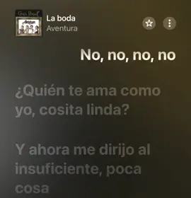 La boda - Aventura  #fyp #musica #letra #aventura #laboda 