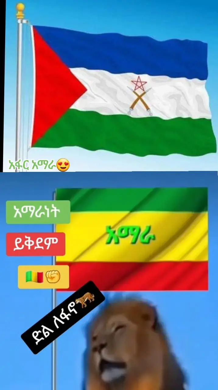 #አማራtitok💚💛❤አማራዬ💚💛❤ #ethiopian_tik_tok🇪🇹🇪🇹🇪🇹🇪🇹ሀገሬ #amara💚💛❤tiktok #amara💚💛❤tiktok #ኢትዮጵያ_ለዘለዓለም_ትኑር💚💛❤ #አንድ_አማራ_ለሁሉም_አማራ💚💛❤ #አፋር_የሰው_ዘር_መነሻ🇩🇯❤🇪🇹😍😘 #ethiopian_tik_tok🇪🇹🇪🇹🇪🇹🇪🇹ሀገሬ #ኢትዮጵያ_ለዘለዓለም_ትኑር💚💛❤ 