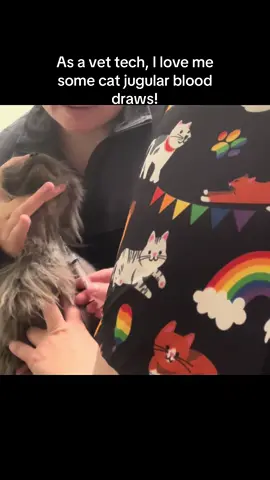 #fyp #vettech #vetmed #catsoftiktok #cat 