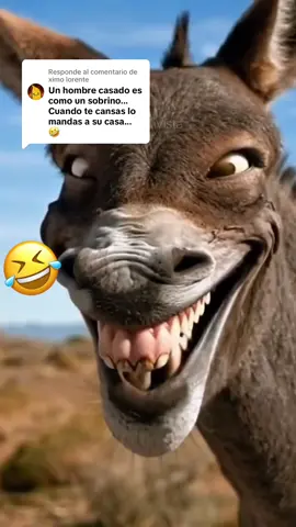 Respuesta a @ximo lorente #comedia #lol