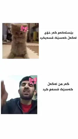 😂😂#zaxo_duhok_hewler_slemani_hawler #creatorsearchinsights #viral #foryoupage❤️❤️ 