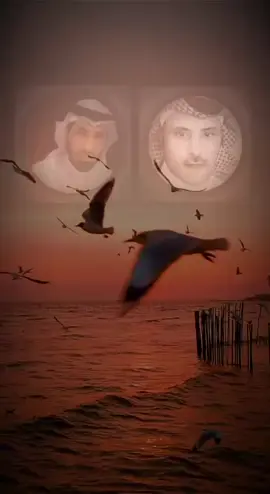 #شرواك_الزهراني #مجالسي_زهران #اكسبلورexplore #البدع_شرواك_الزهراني #الرد_بن_عجلان 