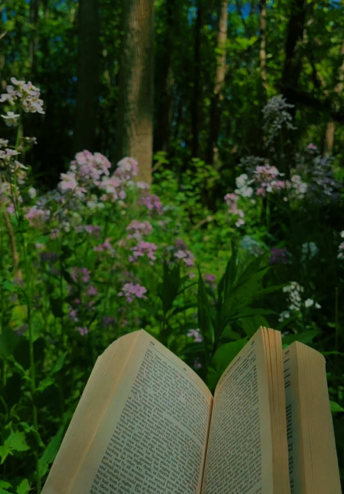 🌸 📖 🌸 #peaceful #forestcore #fairycore #cottagecore #Hiking 