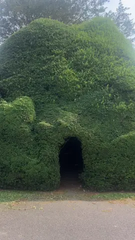 Ирландия как всегда удивляет#ирландияукраина🇺🇦🇮🇪 #irlanda🇨🇮💚 #dublintiktok #irl #irl 