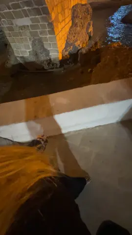 هشيار بن نه دني 😂💔 