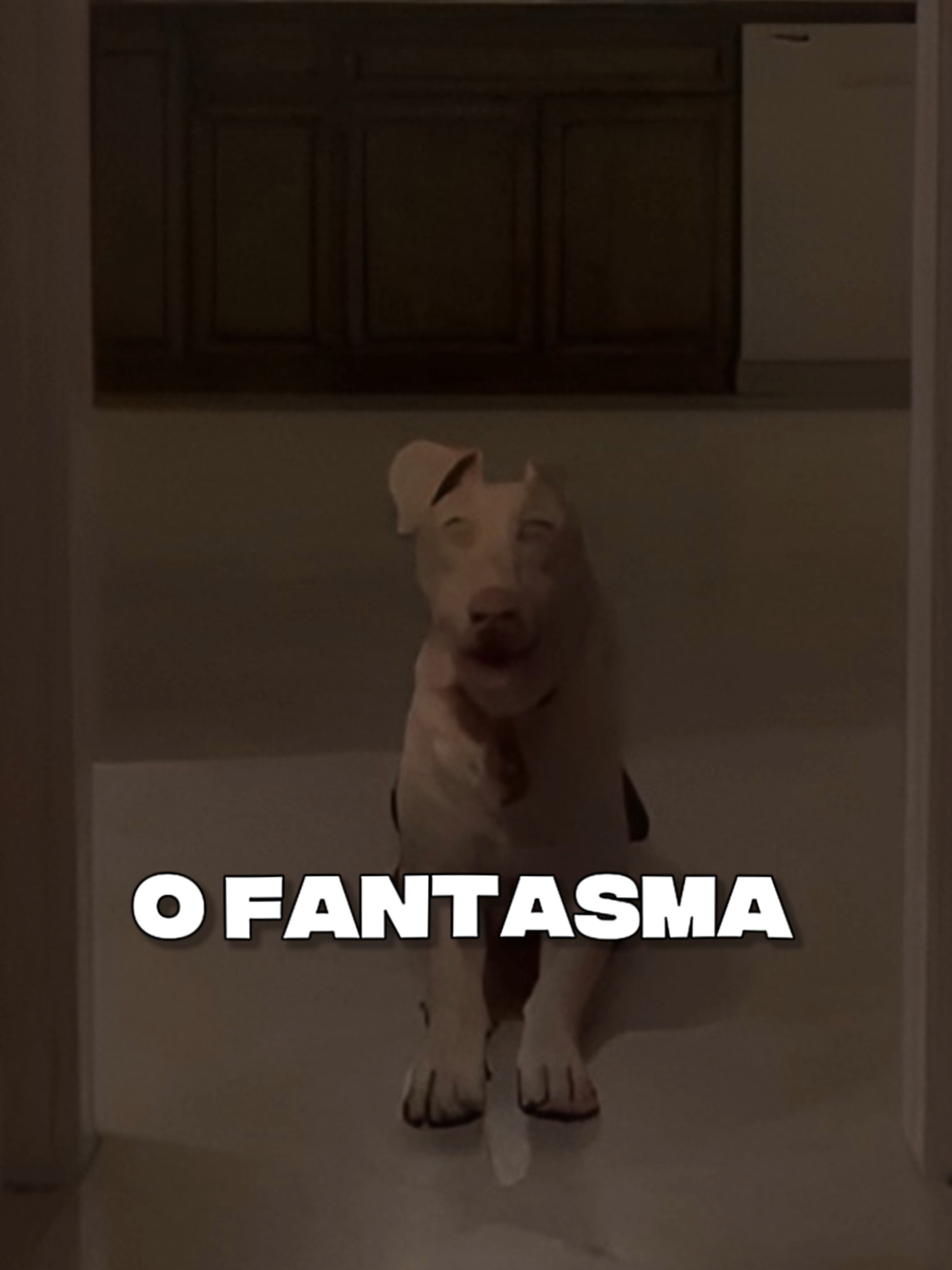O FANTASMA BRASILEIRO QUE FOI INVESTIGADO PELO REINO UNIDO! #curiosidades #horrortok #brasil