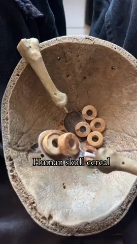 Human skull cereal 🥣  • • • • • • • • • • • • #fyp #foryou #foryoupage #explore #humanbone #tibia #abstractsilver #fashion #archive #rare #distressed #gothic #evil #pants #shoes #highfashion #fashionaesthetic #jewelry #handnade #avantgarde #abstract #925 #silver #bones #artifact #oddity #skull #viral 