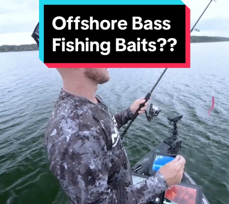 Offshore Bass Fishing Baits??