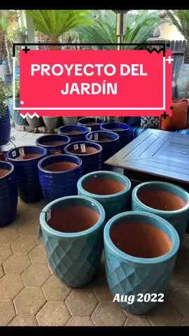 Un proyecto de verano muy satisfactorio que tomó varios días y modificó nuestro jardín permanentemente. #onthisday #mijardin #costco #amolasplantas #plantas 