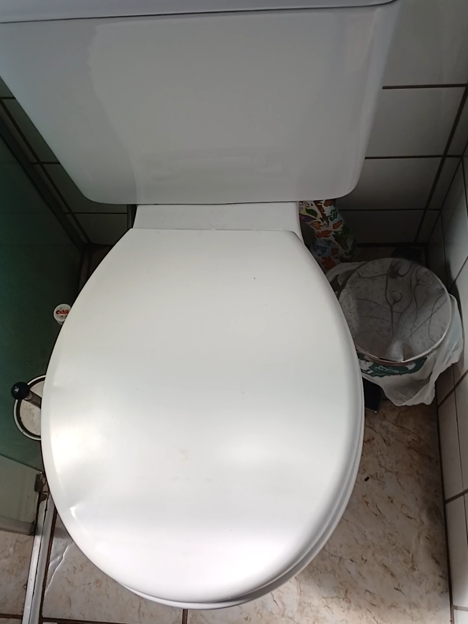 🚽🧻💩 COMO É BOM!! #constipacao #prisaodeventre #desinchaco #fyp #inchacoabdominal 