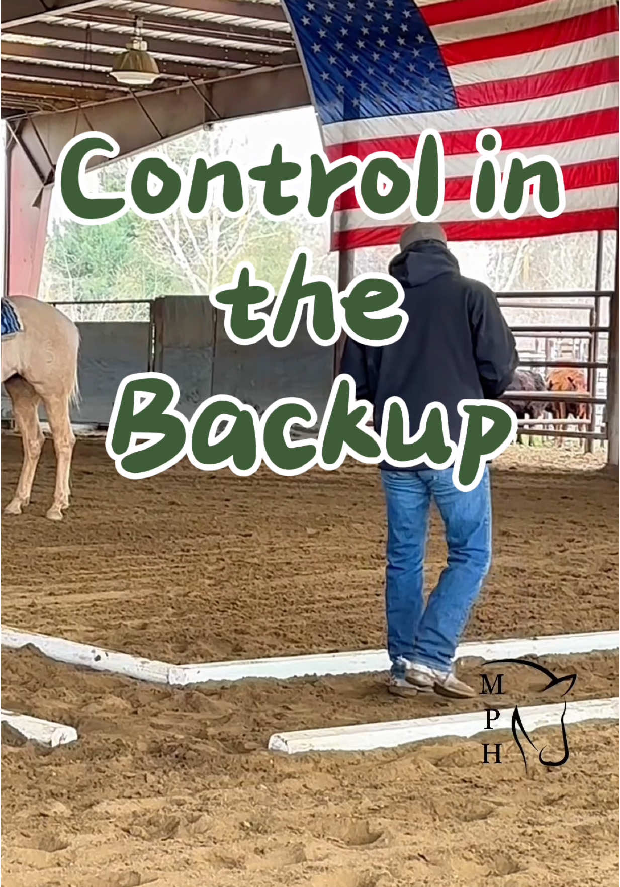 Control in the BackUp | Ranch Versatility Trail  #ranchversatility #riding #horses #foryou #quarterhorse 