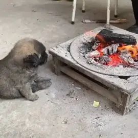 hình ảnh buổi sáng ngồi đợi hồn về...