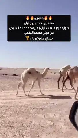 صفقة مليونية🏆 #محمد_خالد_الدلبحي #عليان_الباتلي #الشعب_الصيني_ماله_حل😂😂 #خلف_خالد_الدلبحي #لندن @TikTok 