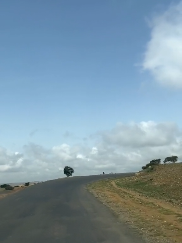 #eritreantiktok🇪🇷🇪🇷habesha #eritreantiktok🇪🇷 #Eritrea #eritreanmusic #eritrean 