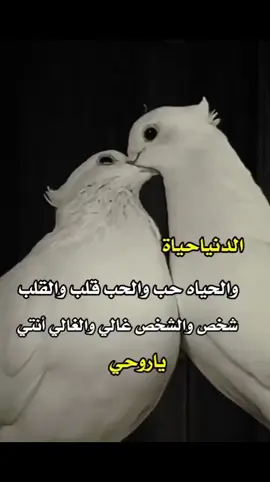#💔💔💔💔💔  #♥️♥️ 