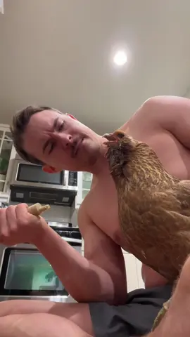 Ophelia’s vet visit.  We don’t know if it is a canker or a tumor, but antibiotics haven’t seemed to help. If anyone has had success with elderly chickens with tumors, I’d love some advice!  🩺 #chickens #vet #backyardchickens #rescue #homestead         