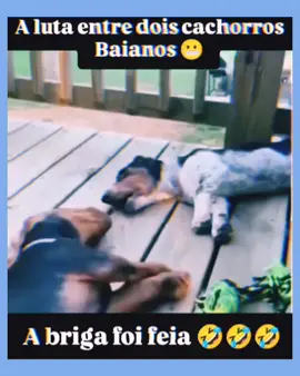 #humor #viral #tiktok #foyou 