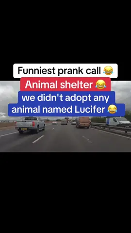 we didn't adopt any animal named Lucifer 😂 #prankcall #cat #dorovict #fyp #viral 