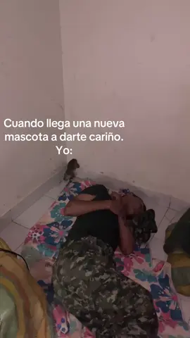 #ejercitodecolombia#paratiiiiiiiiiiiiiiiiiiiiiiiiiiiiiii#fyp#soldados