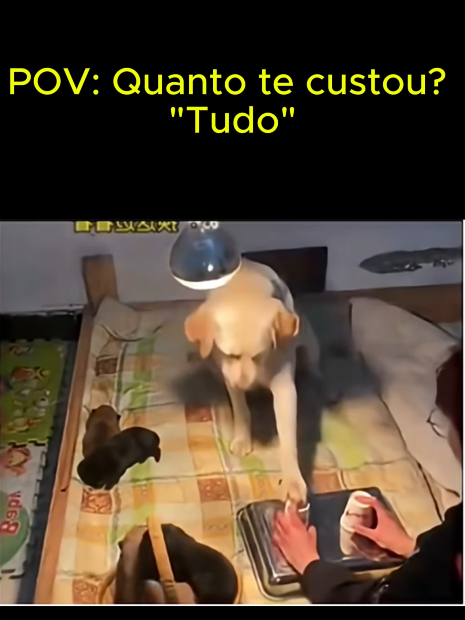 POV: Quanto te custou? 