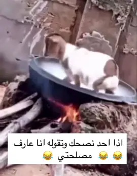 #من_جد #ضحك #وناسه