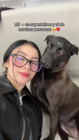 La cara del perrito jajajaja