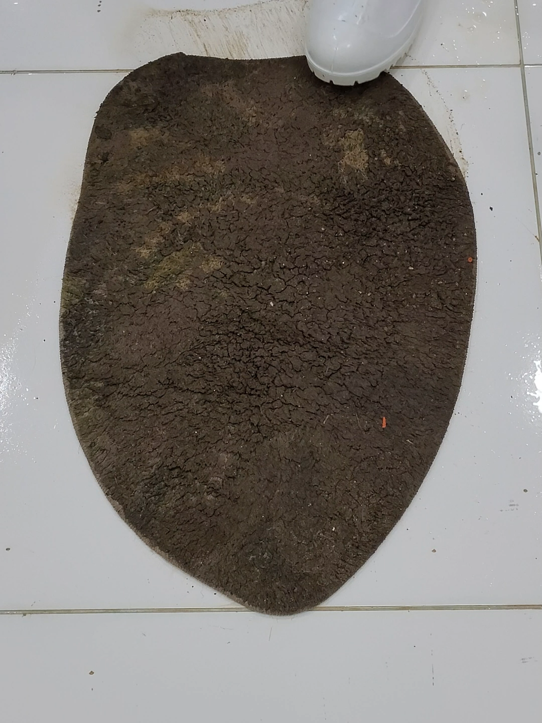 Cleaning satisfying the muddy carpet #asmr #asmrcleaning #SatisfyingClean #rugcleaning #asmrsounds #cleaning #carpetwashing