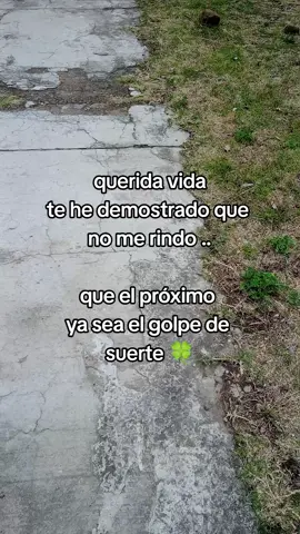 #nuncarendirse  #vida 