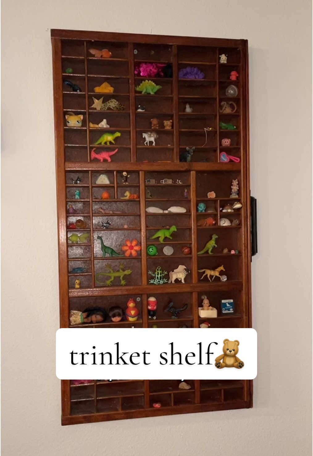 The squishy animal’s were my favoriteeee (also LPS & Polly Pockets❤️‍🔥)  #trinkets #trinketshelf #nostalgia 