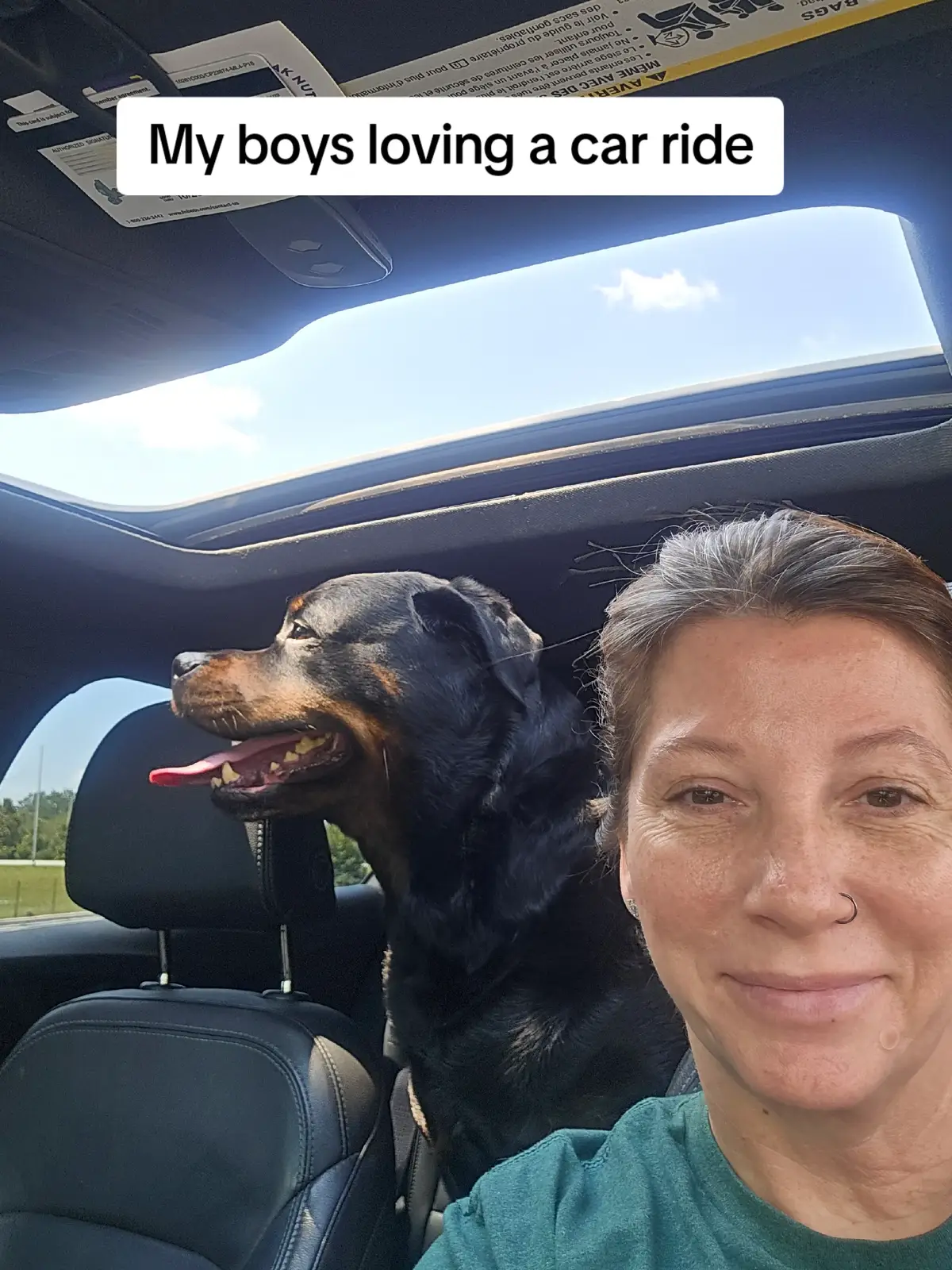I love my boys #rottweiler #poodle #dogsoftiktok #dogmom